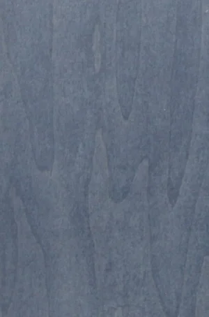 the "venus" door finish