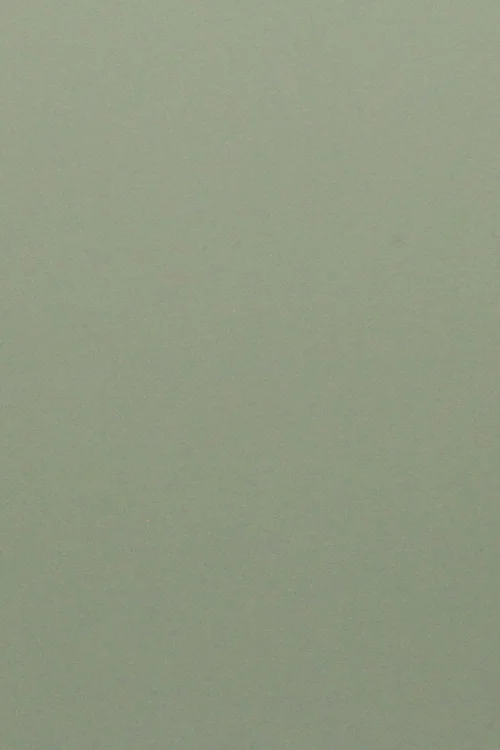  MDF cabinet door willow.