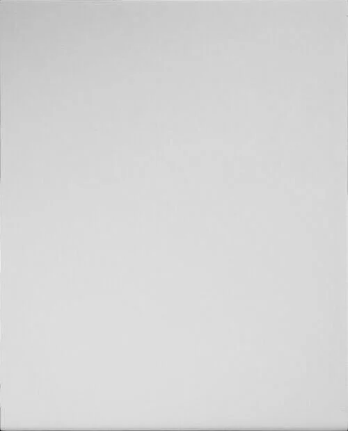 Trosko MDF cabinet door.