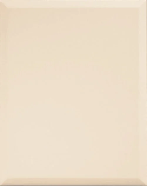 Wayne MDF cabinet door.