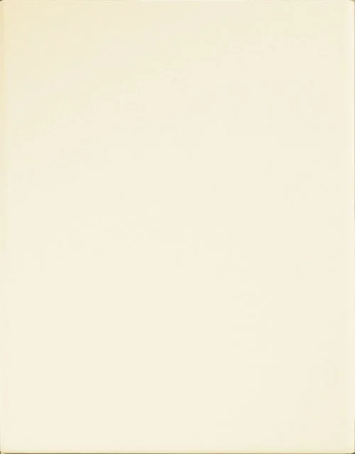 Chand MDF cabinet door.