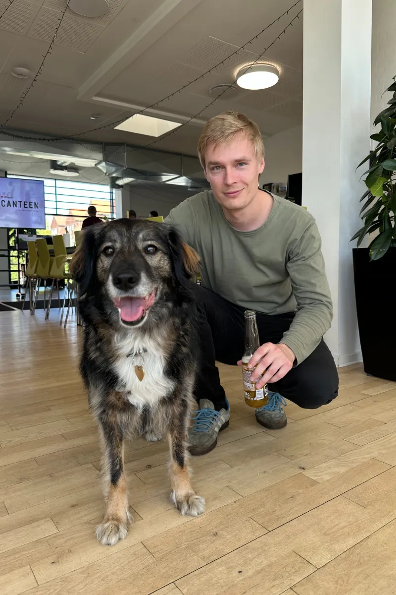 iPaper - pet friendly workplace