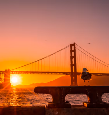 Golden Gate Bridge at sunset with a seagull perched in the foreground.