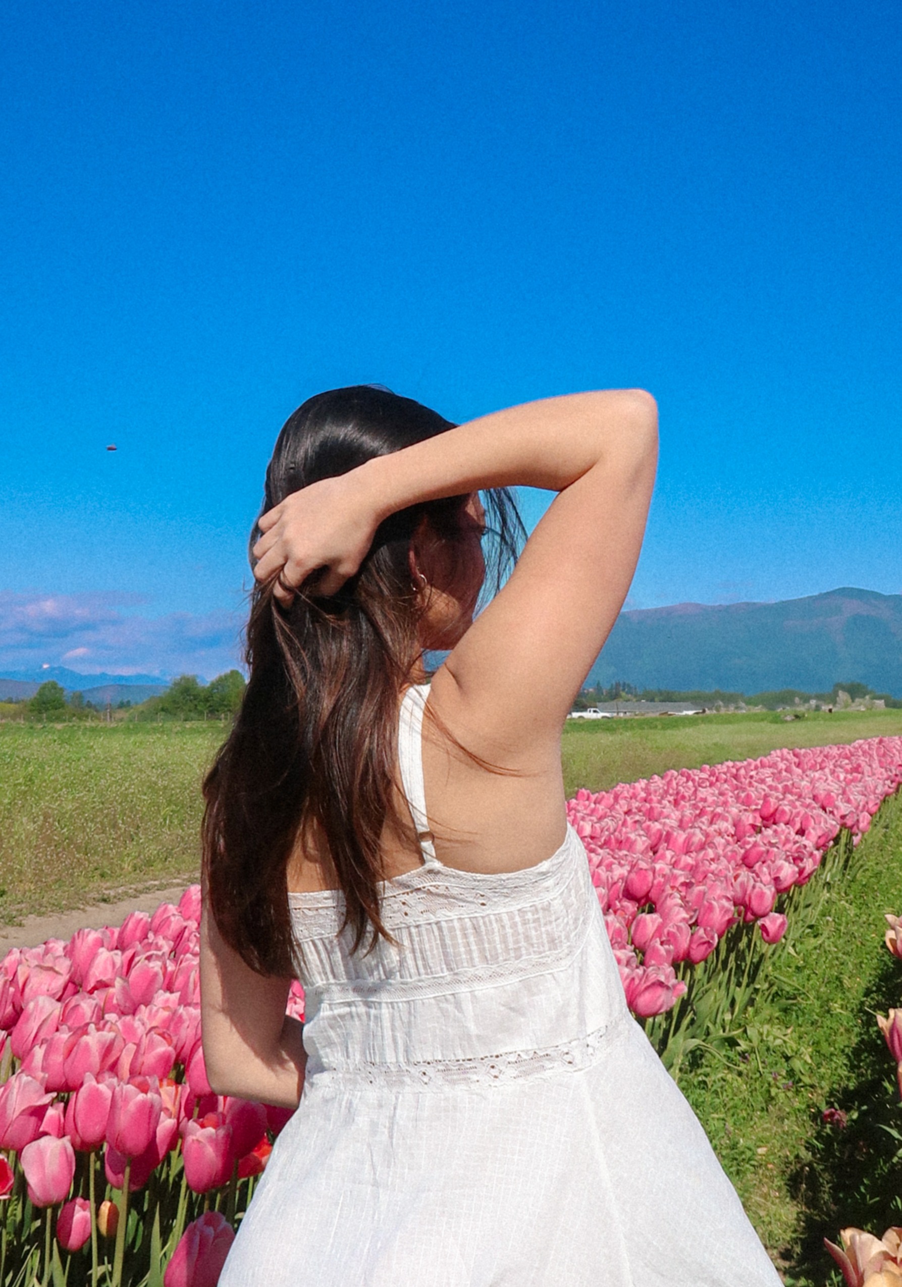 Janie's back turned in the middle of Tulip fields in Skagit Valley in Washington state.
