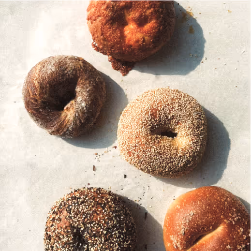 Group of New York style bagels