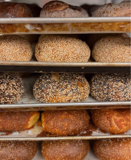 Stack of freshly baked New York style bagels