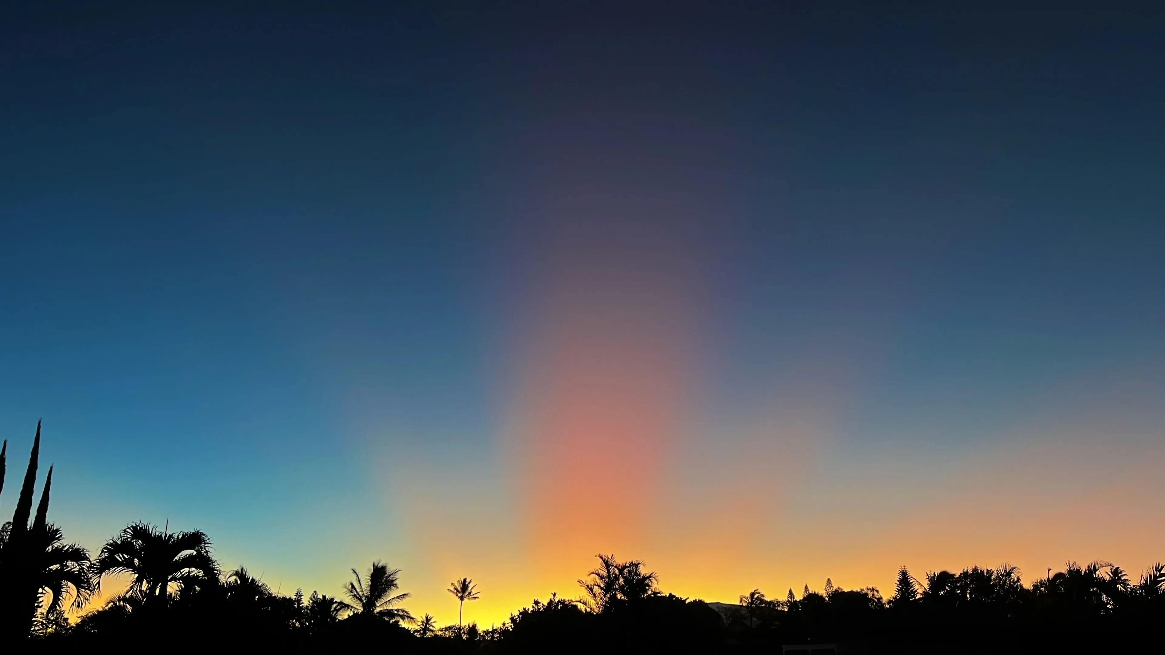 Sunset rays fanning over the palms