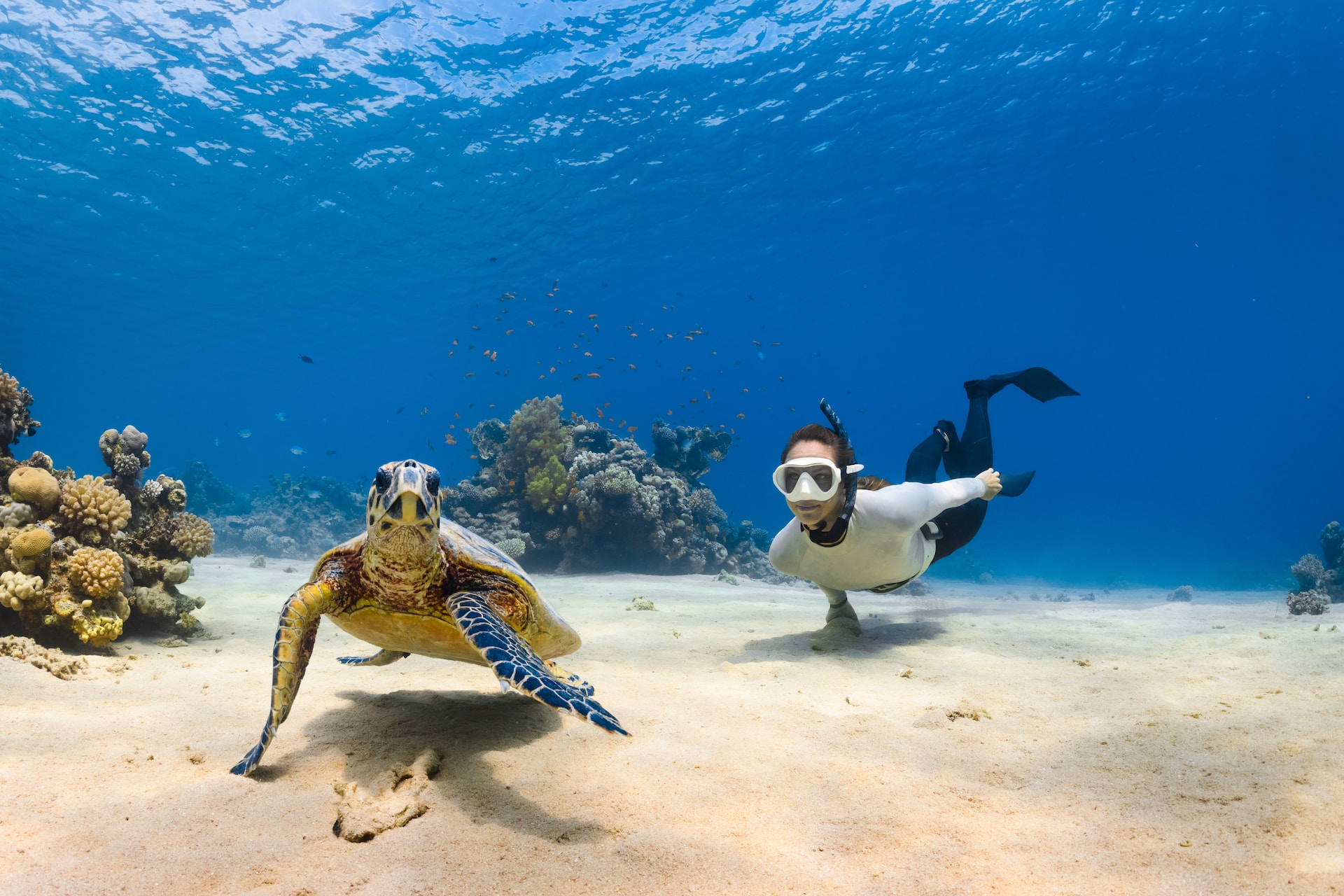 A Beginner's Guide to Snorkeling: Tips and Tricks