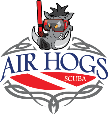 Air Hogs Scuba