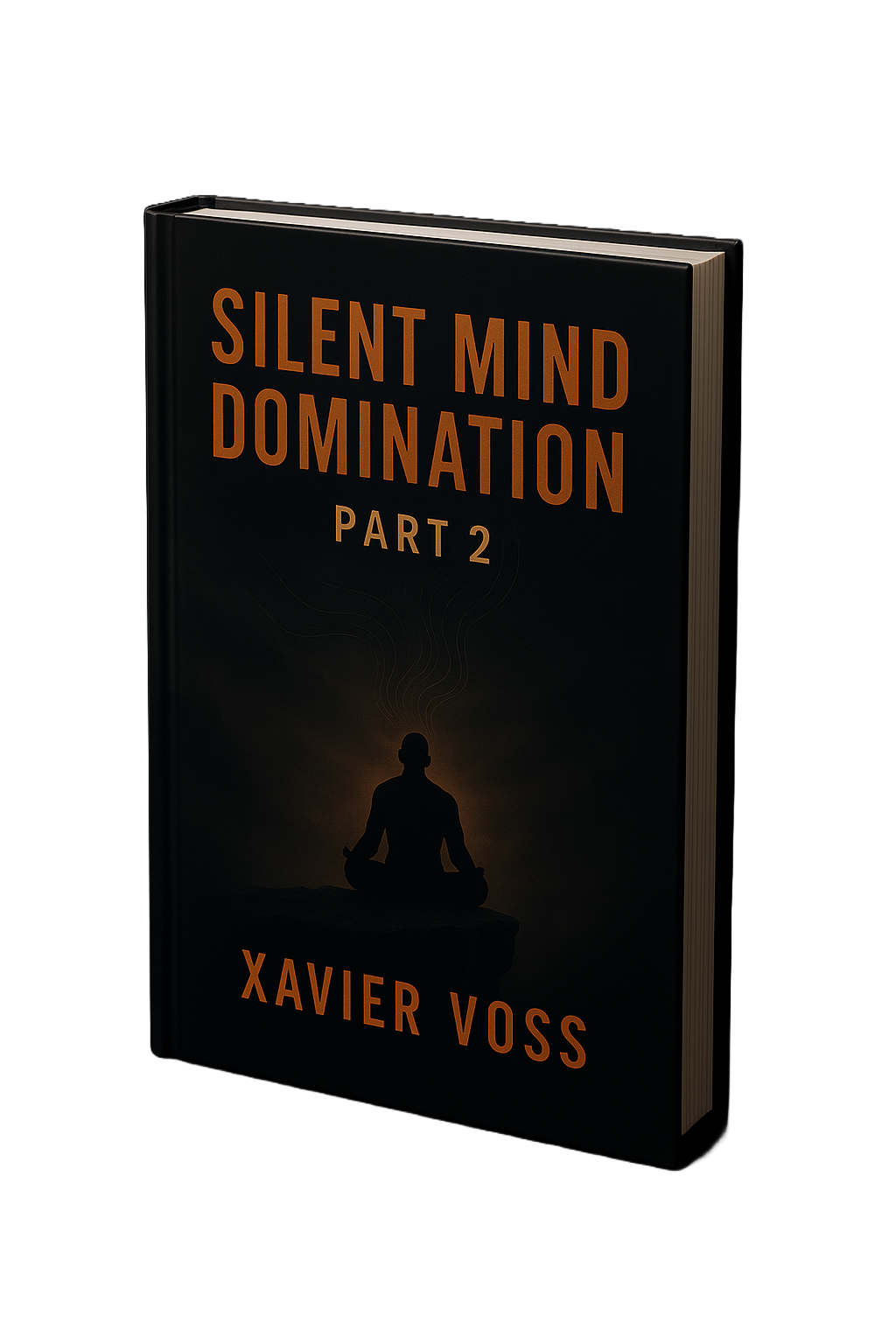 Silent Mind Domination pt II