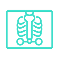 Imaging icon