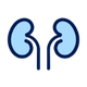 Kidney surgery icon