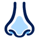 Nose icon