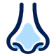 Nose icon