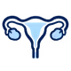 Endometriosis icon