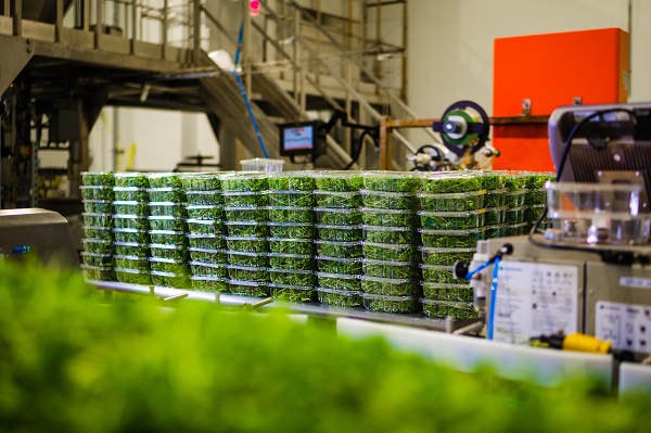 Fresh, Ontario-Grown Leafy Greens - Year Round
