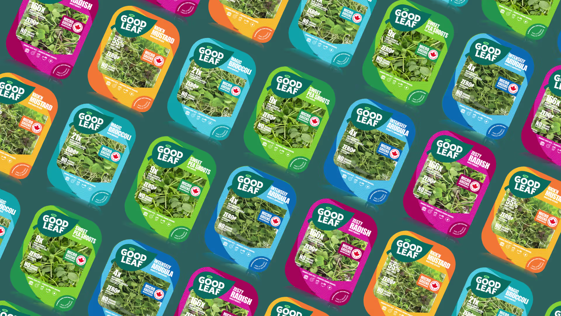 GoodLeaf Farms starts 2025 by welcoming Farm Credit Canada as a new strategic investor