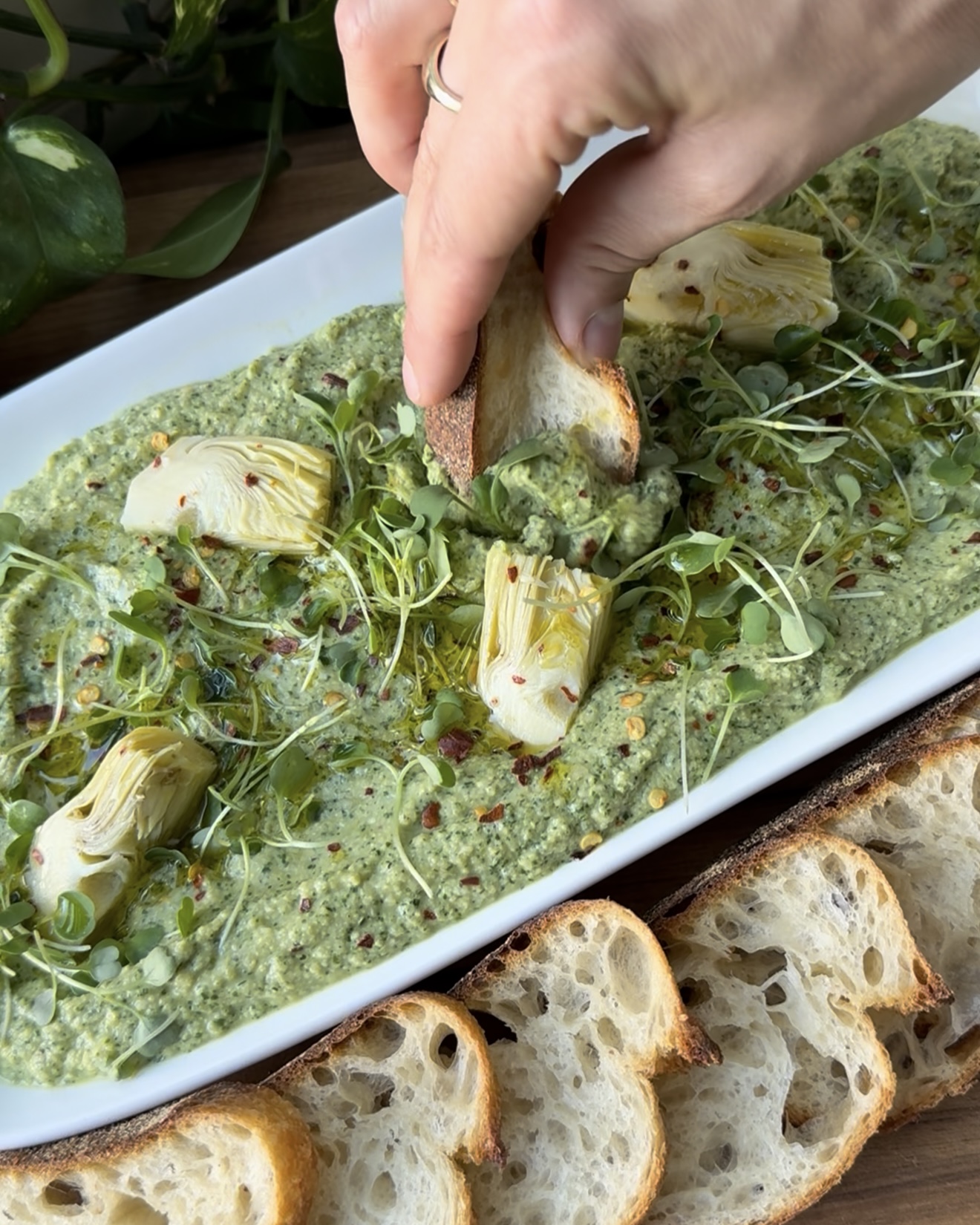 Micro Arugula & Artichoke Dip