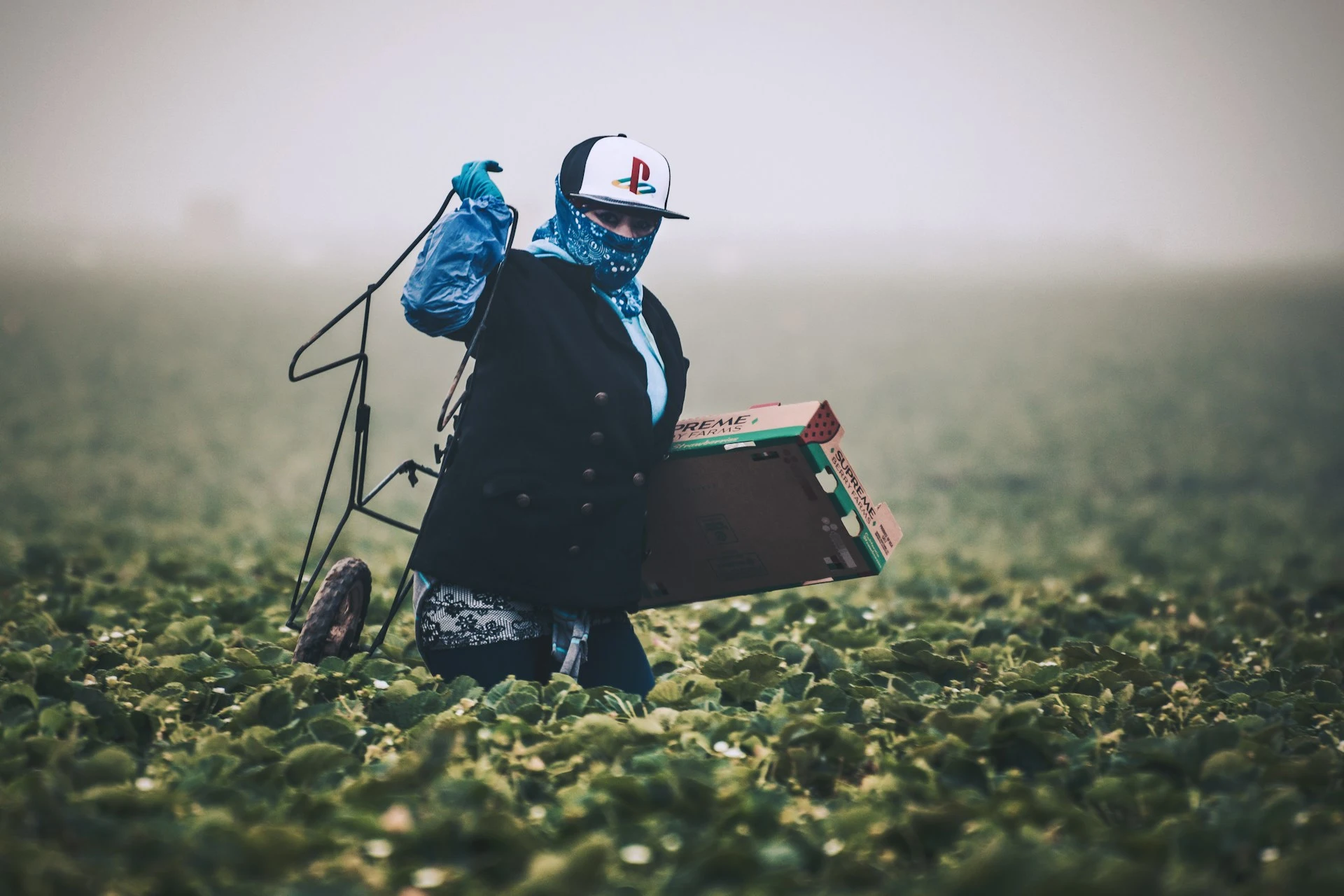 The Fair Labor Standards Act stands as a legislative measure designed to safeguard the rights of workers