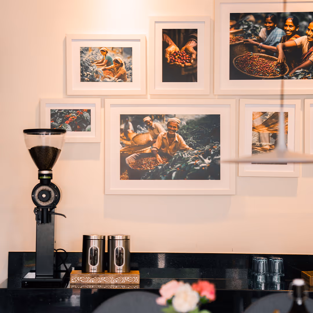 Experience authentic South Indian flavors in a modern café by M Group, Chennai.