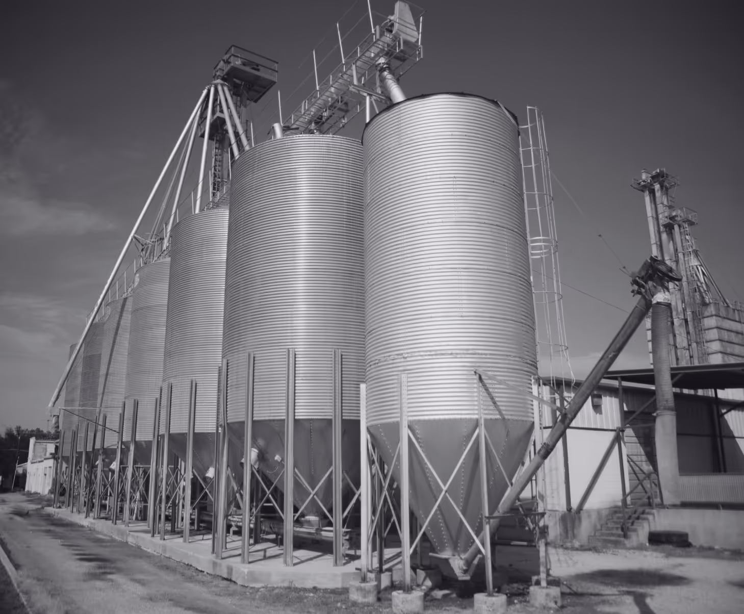 Row of large cylindrical grain silos with metal ladders and supporting structures under a clear sky.