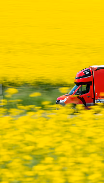 Truck in flower field
