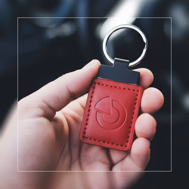 Drive identification chip