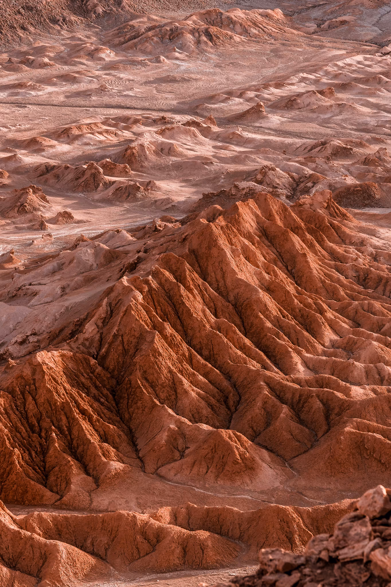 Sunlit rocky desert landscape with reddish jagged hills and eroded formations.