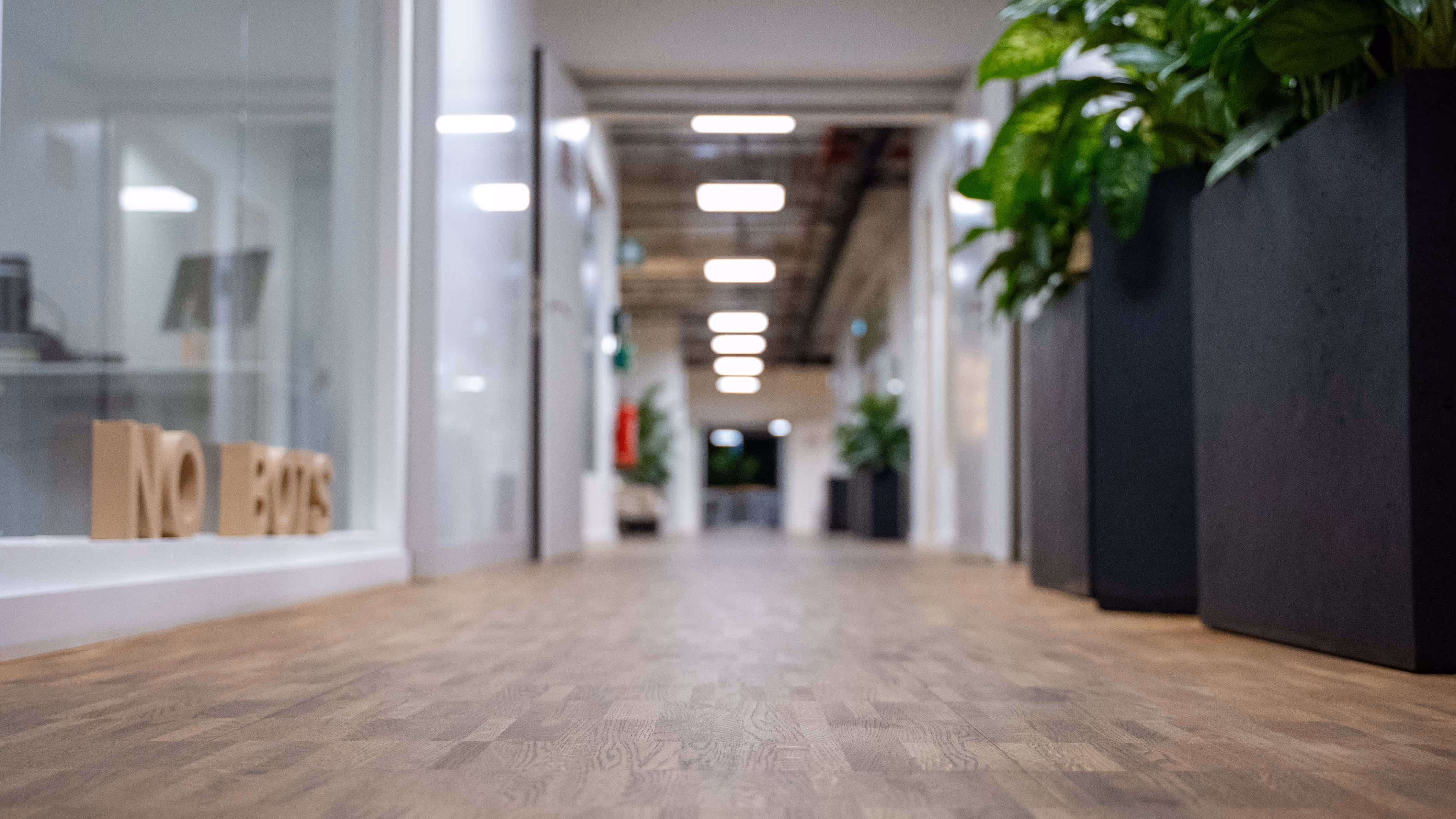 Low-angle view of a modern office hallway with wooden floor, potted plants on the right, and glass walls on the left.