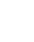 First Marine Service - grey logo