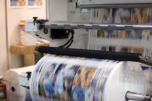 Flexographic printer
