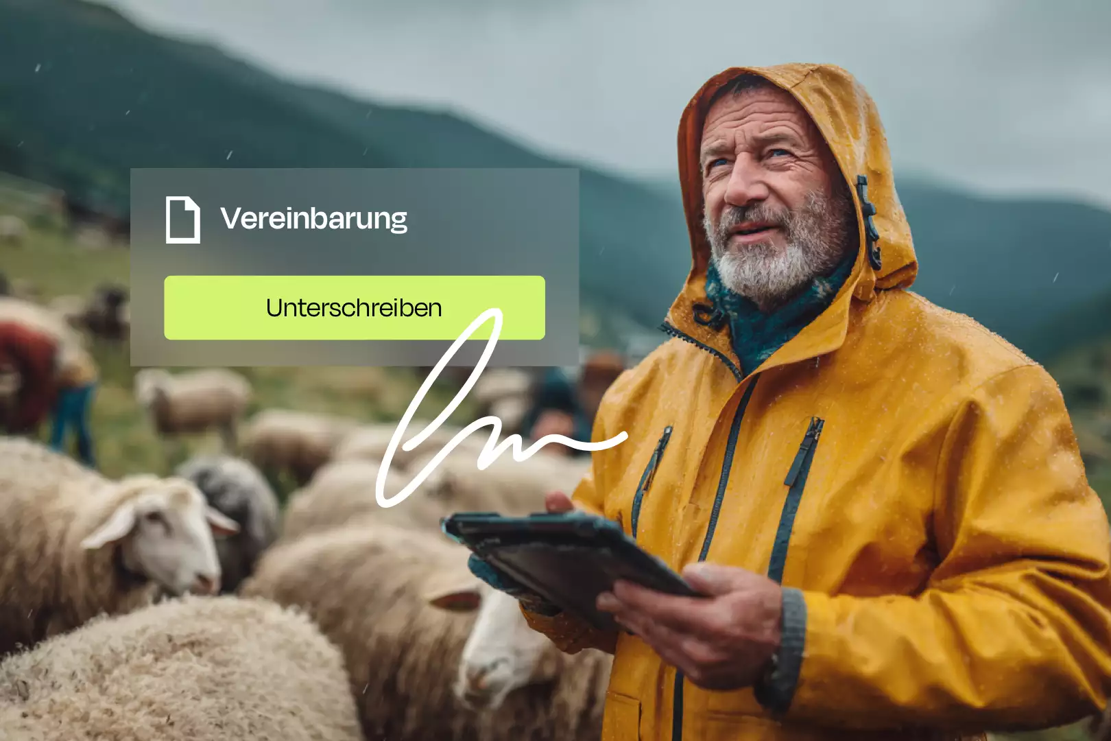 Älterer Landwirt in gelber Regenjacke mit Tablet zwischen Schafen, digitaler Vertrag mit Button ‚Unterschreiben‘ eingeblendet.