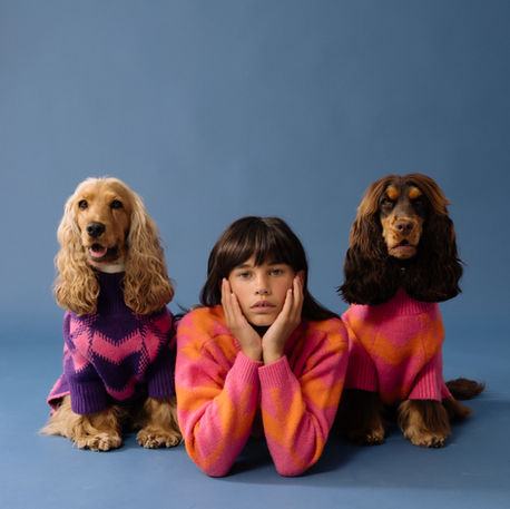 Dogs