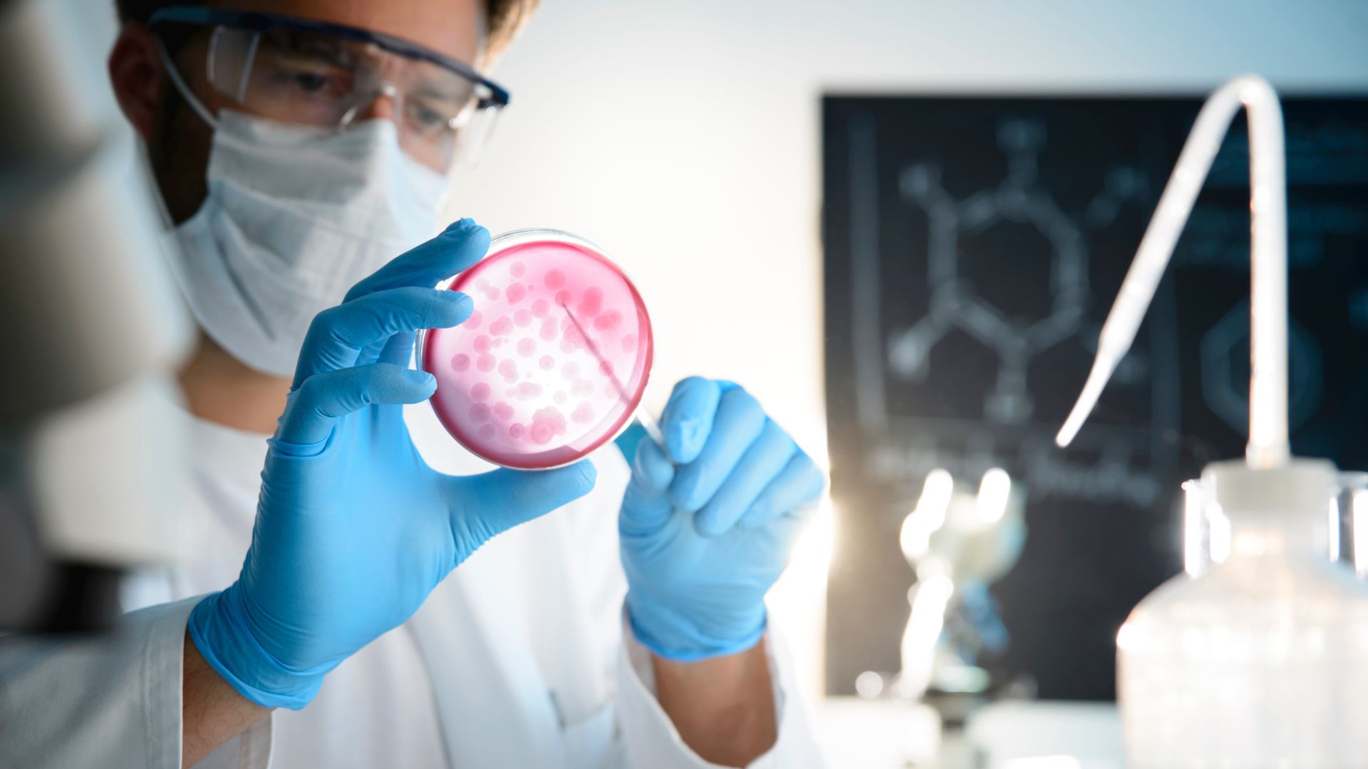 Microbiologie lab waar ze micro-testing uitvoeren