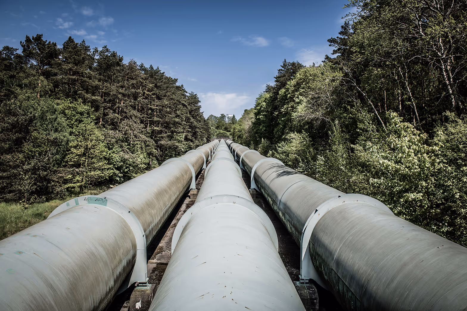 Multiple large industrial pipelines running through a forested area under a blue sky, representing operational challenges in pipeline and energy distribution, including monitoring, maintenance, and security risks.