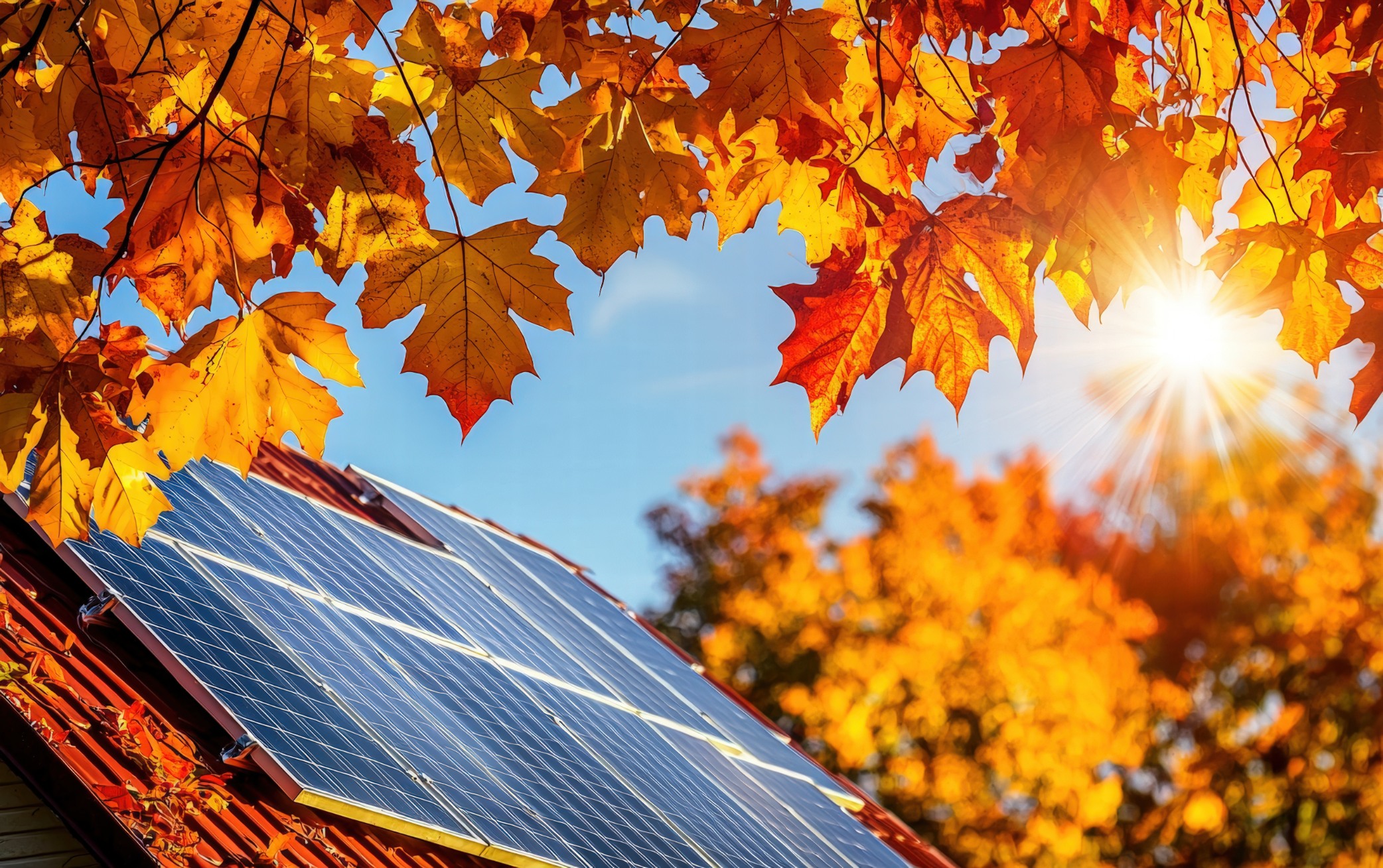 Read all the latest news about FlexiO.