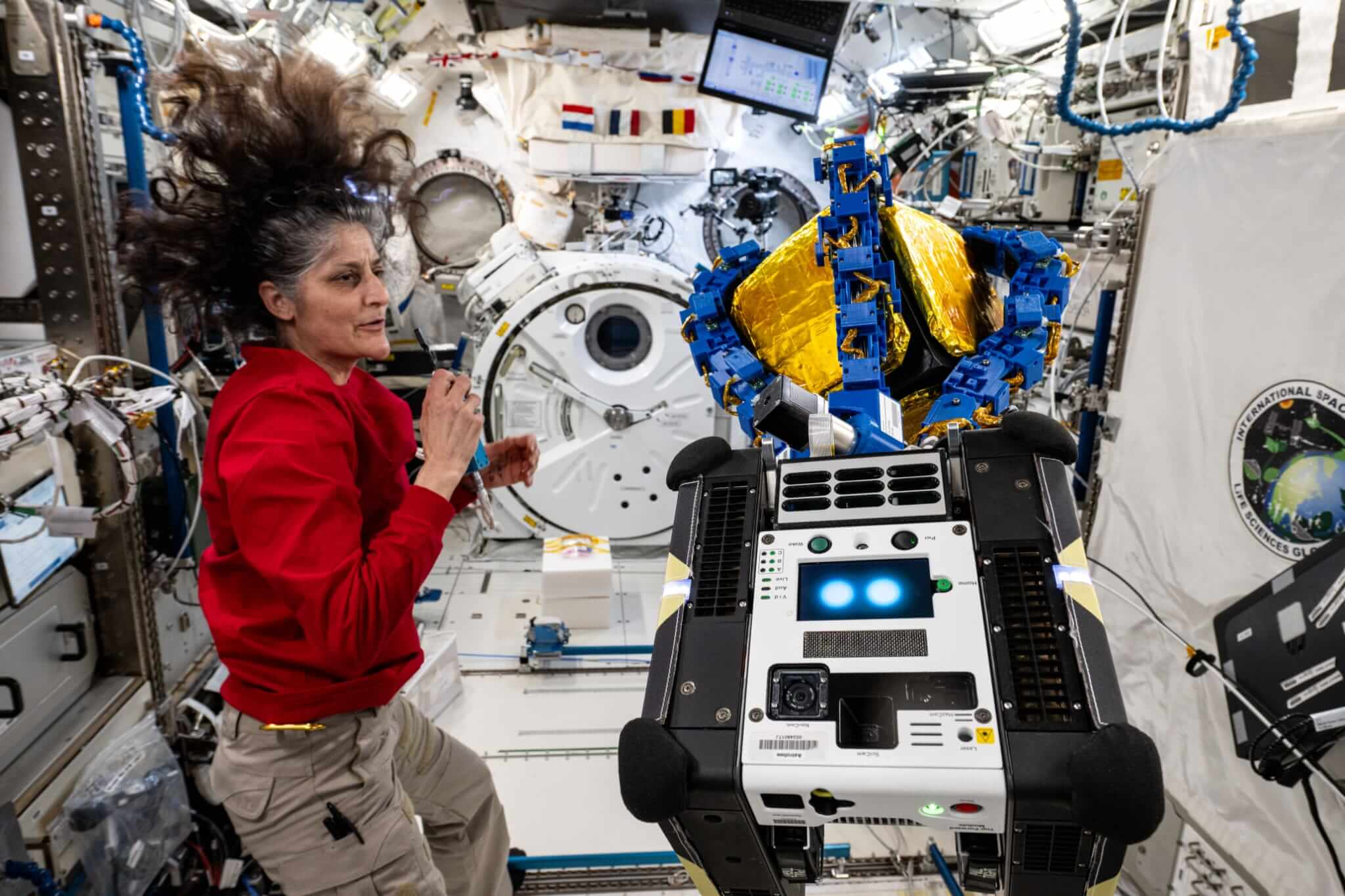 Astronautka NASA a velitelka expedice 72 Suni Williams sleduje robotický volně létající modul Astrobee, který je vybaven chapadlovitými rameny s přísavkami.
