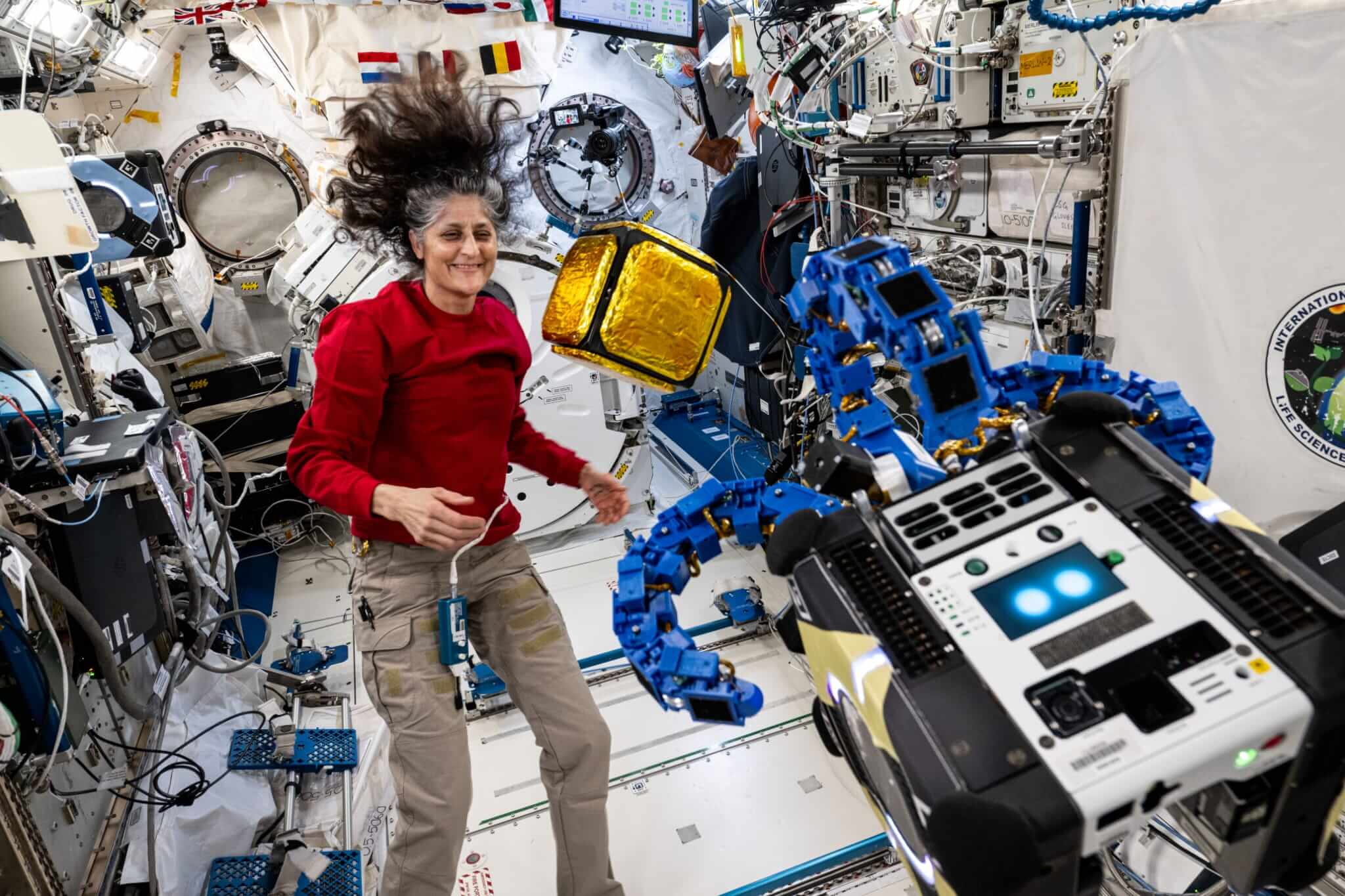Astronautka NASA a velitelka expedice 72 Suni Williams sleduje robotický volně létající modul Astrobee, který je vybaven chapadlovitými rameny s přísavkami.