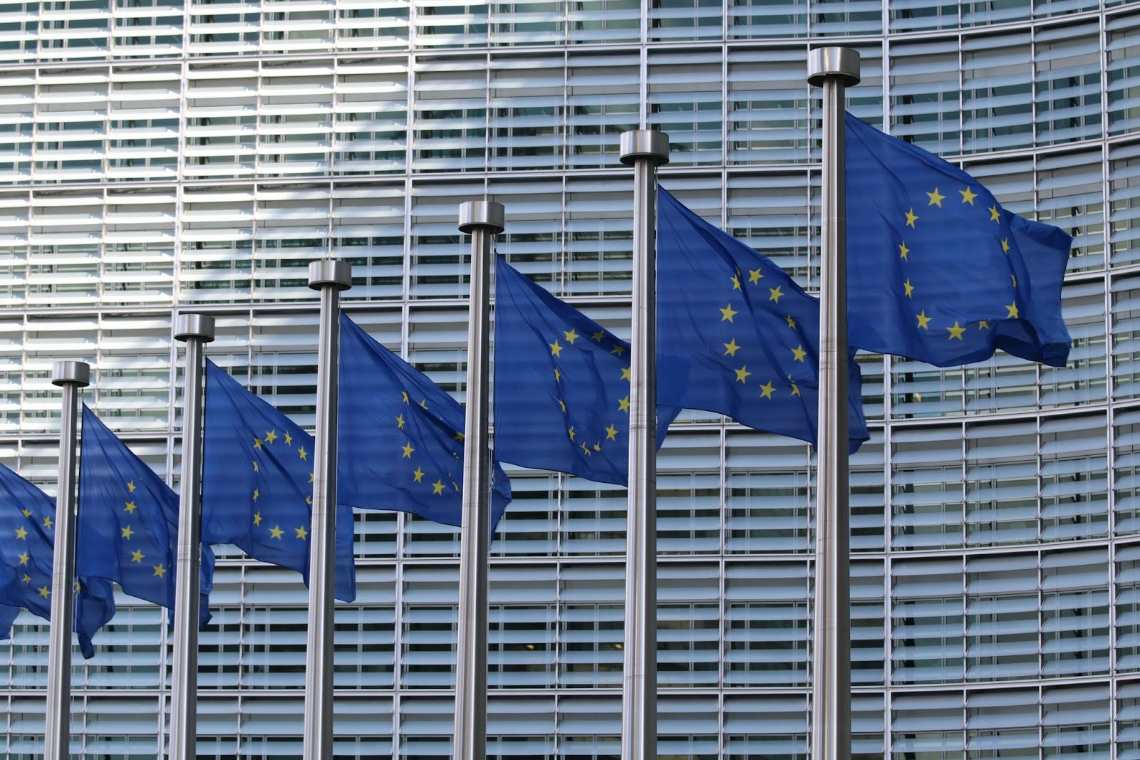 the EU flag