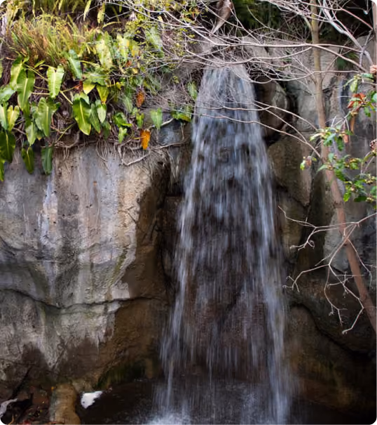 Waterfall flowing down a rocky cliff surrounded by green plants and bare tree branches.