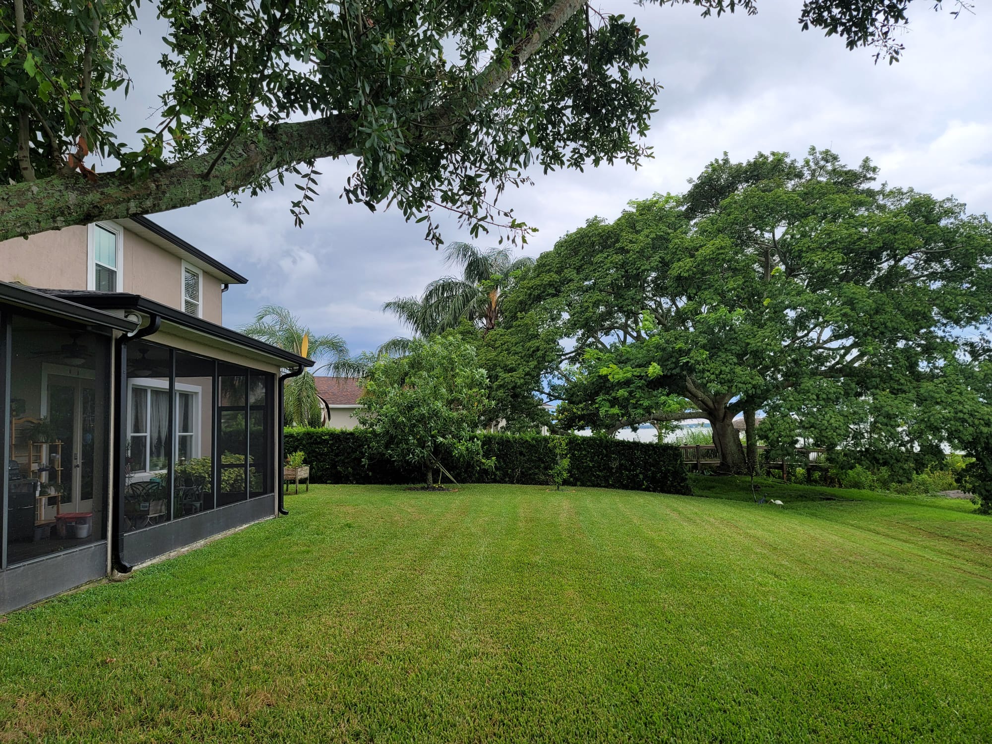 Well-maintained backyard with green grass, large leafy trees, and a screened porch attached to a beige house.