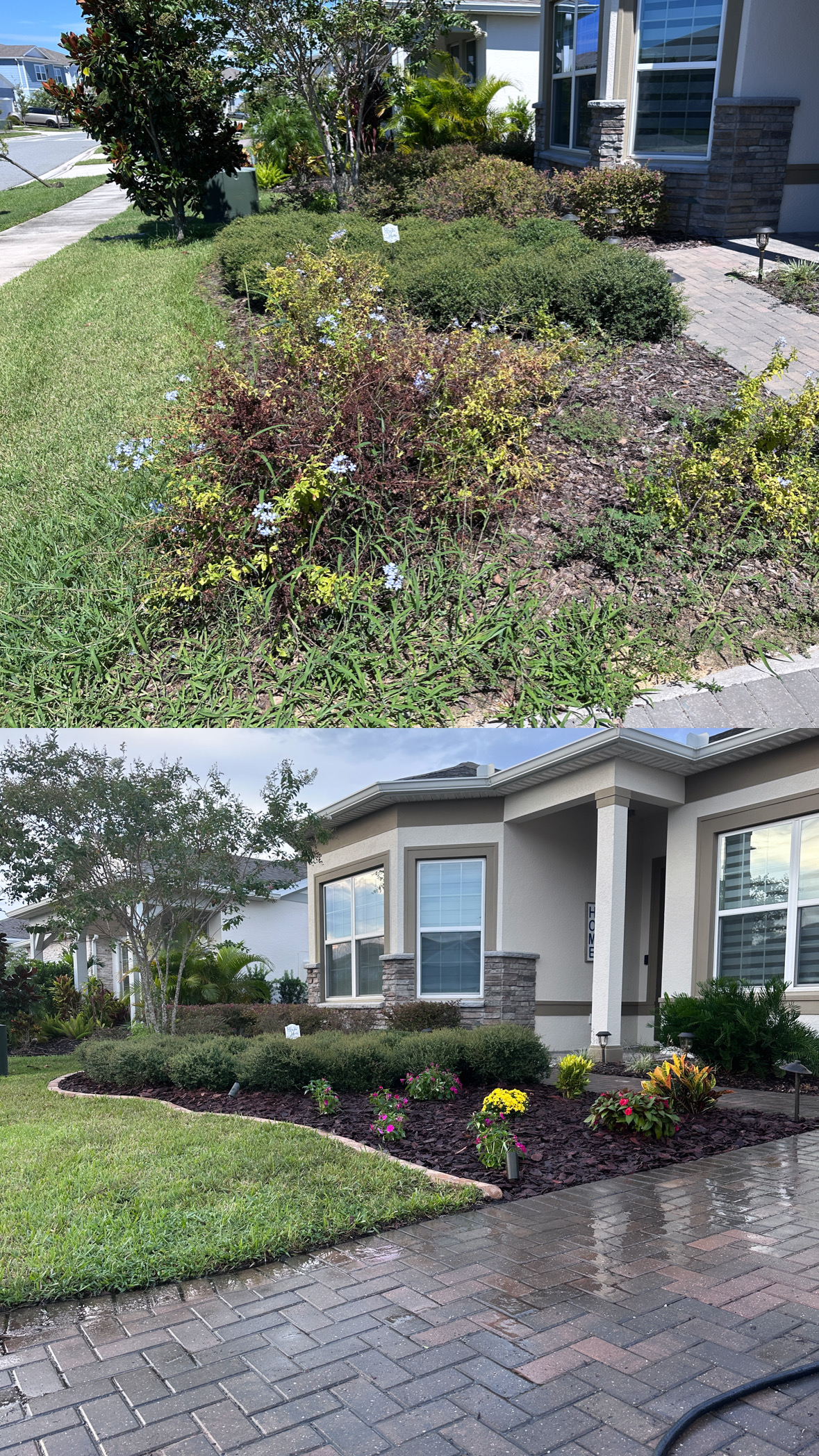 Before and after images of a house front yard showing overgrown bushes and weeds replaced by neatly trimmed bushes, fresh mulch, and colorful flowers with a clean paved driveway.