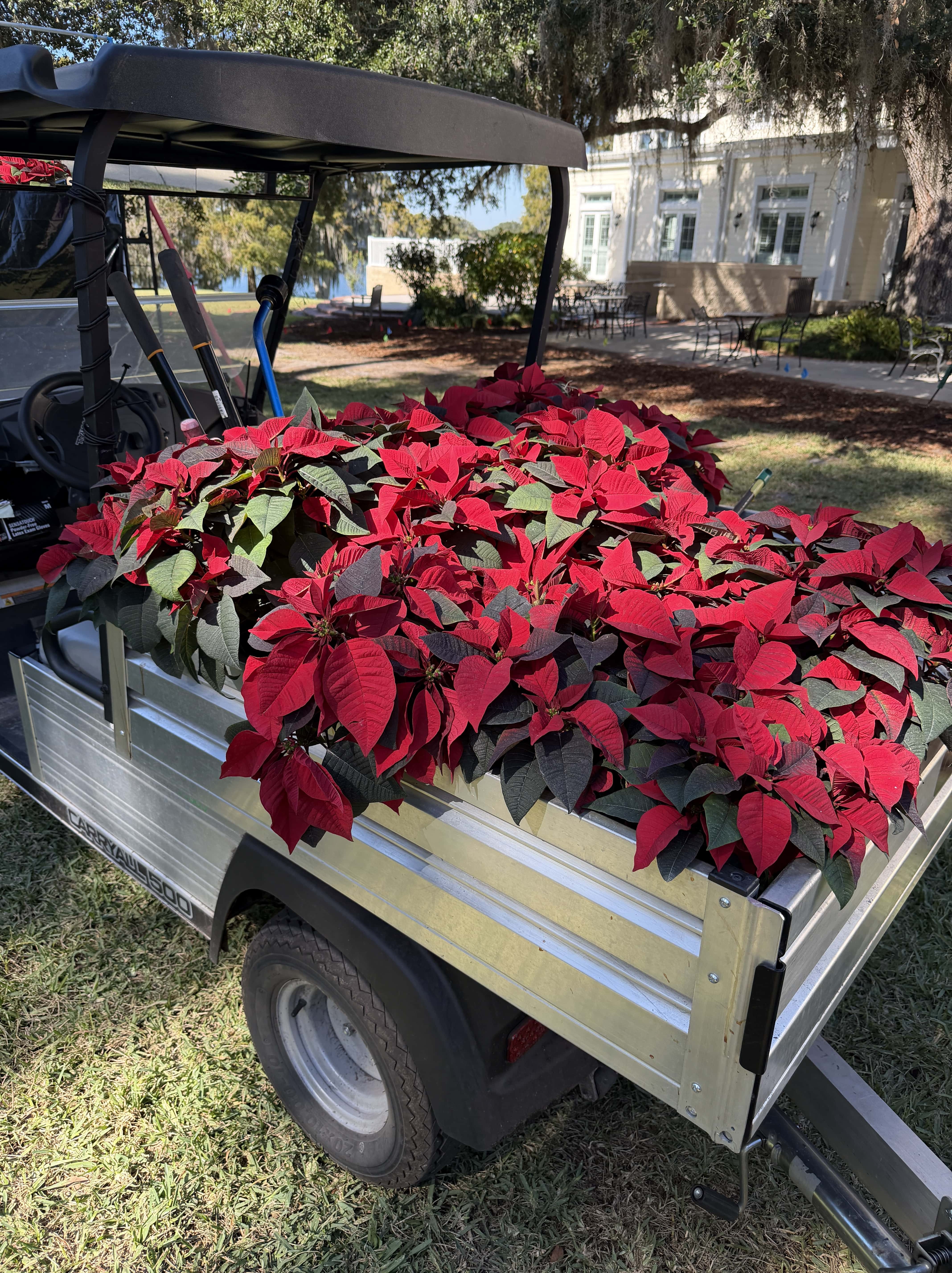 image of school exterior