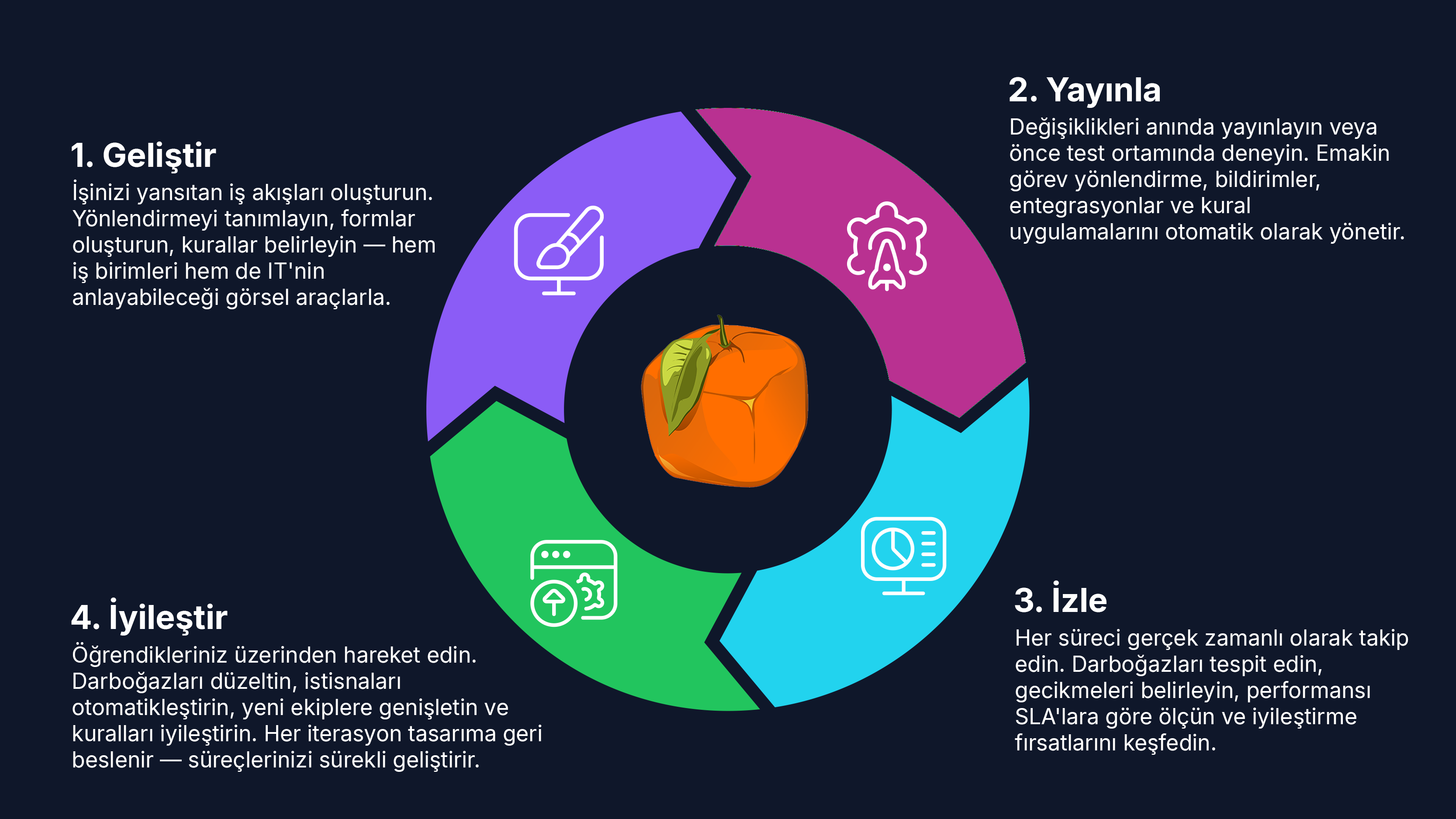 Circular infographic of Process Lifecycle.