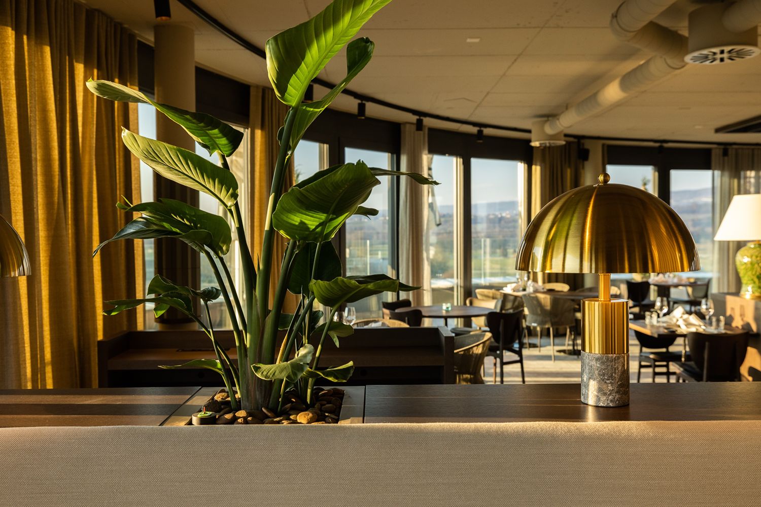 Elegantes Esszimmer mit einer wunderschönen großen grünen Pflanze und einer goldenen Tischlampe.