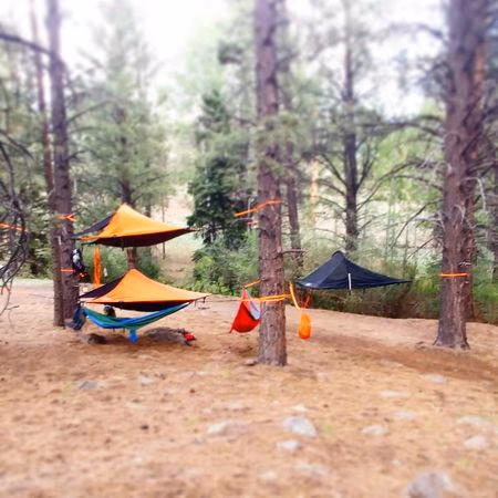 Three suspended tent hammocks set up between trees in a forested area with dry ground.