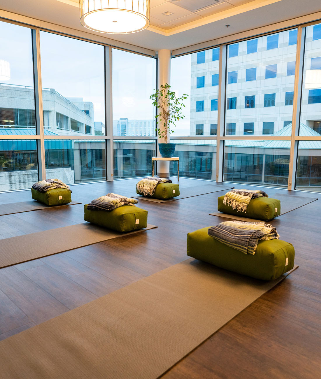 The inside of Willow Radiance