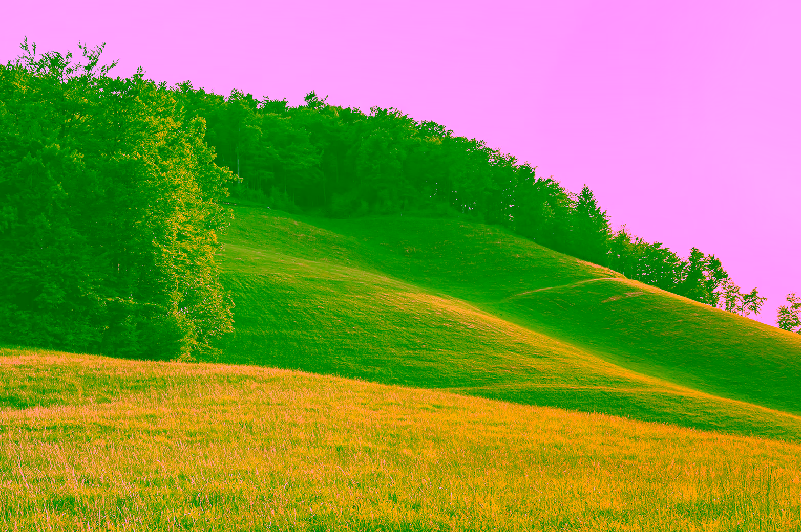 DClimate