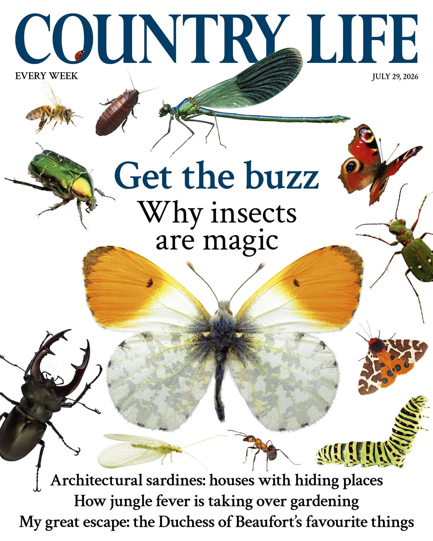 Country Life · Luxury Notebook — Melanie Grant Mayfair