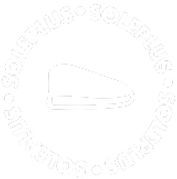 Soleplus Logo in Grid.